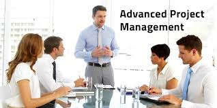 Advanced Project Management Professional