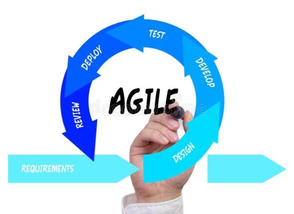 Expert-Level Agile Coaching