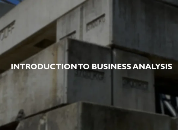 Introduction-to-Business-Analysis