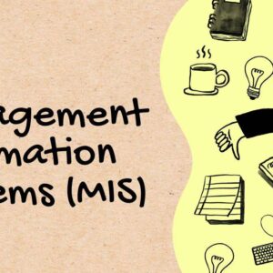 Advanced Management Information Systems