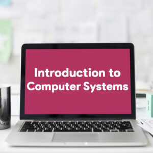 Introduction to Computer Systems